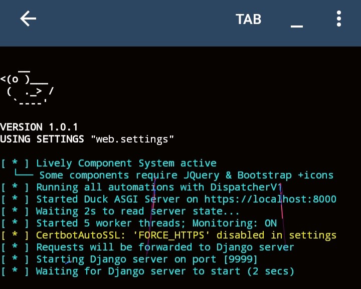 Duck local website terminal